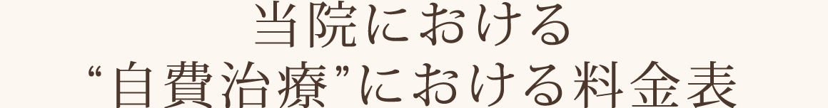 当院における自費治療における料金表